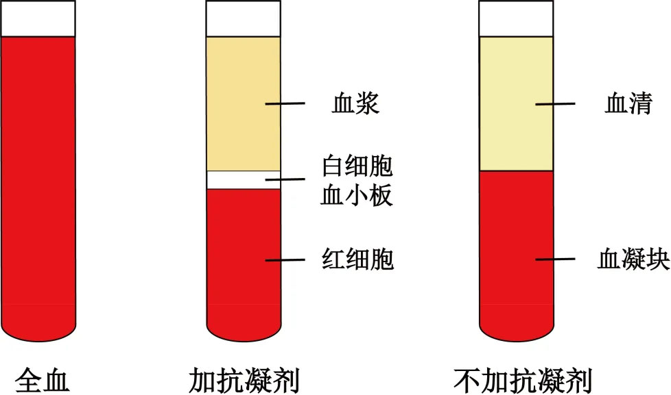 抗凝剂 拷贝.jpg