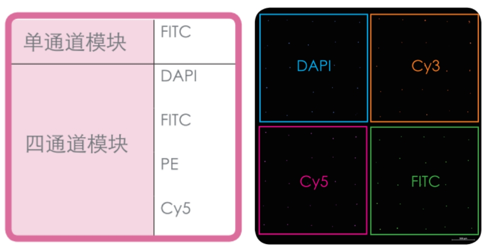 微信截图_20240625134958.png