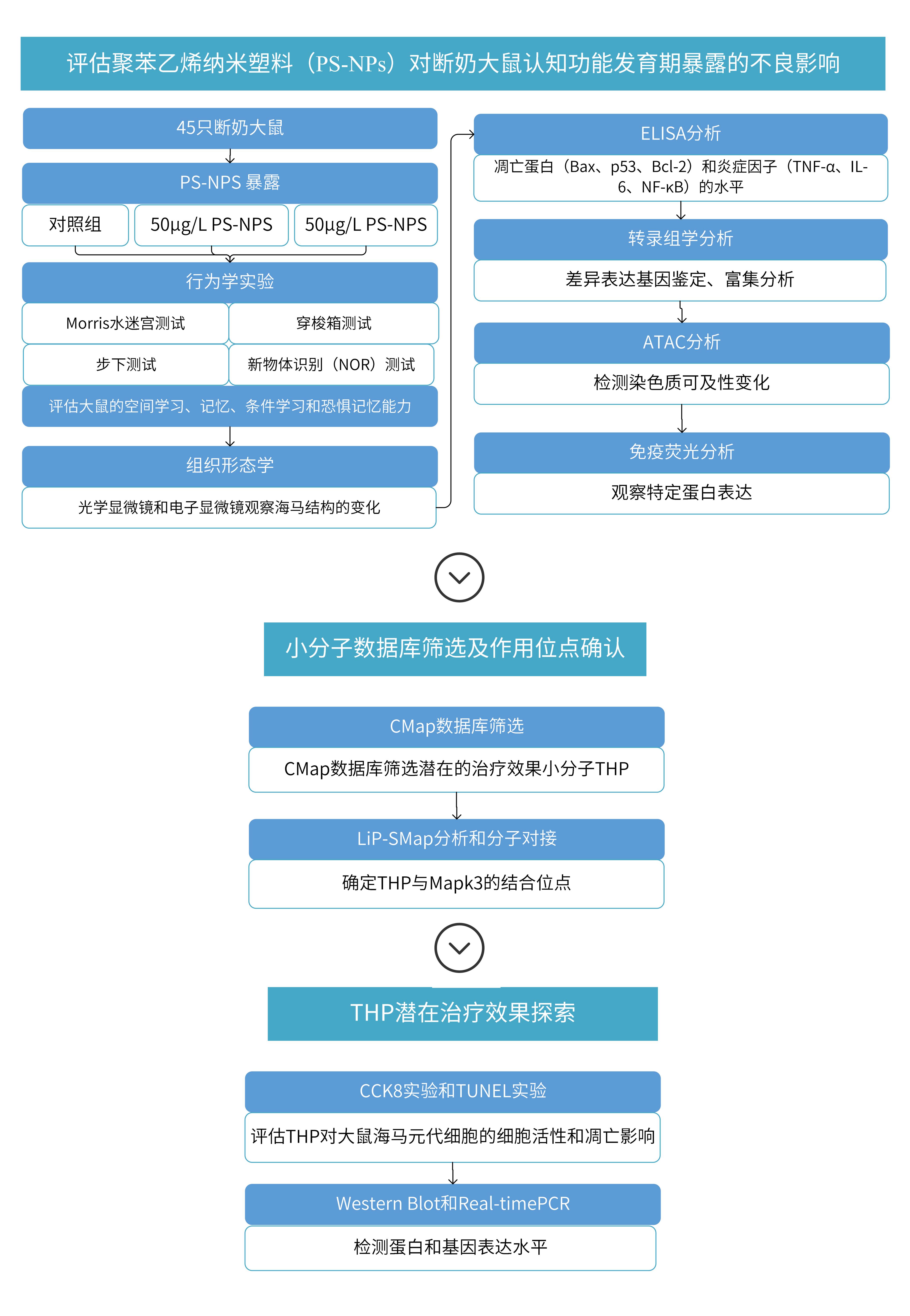 LiP-MS文章解读思路_00(1)(1).jpg