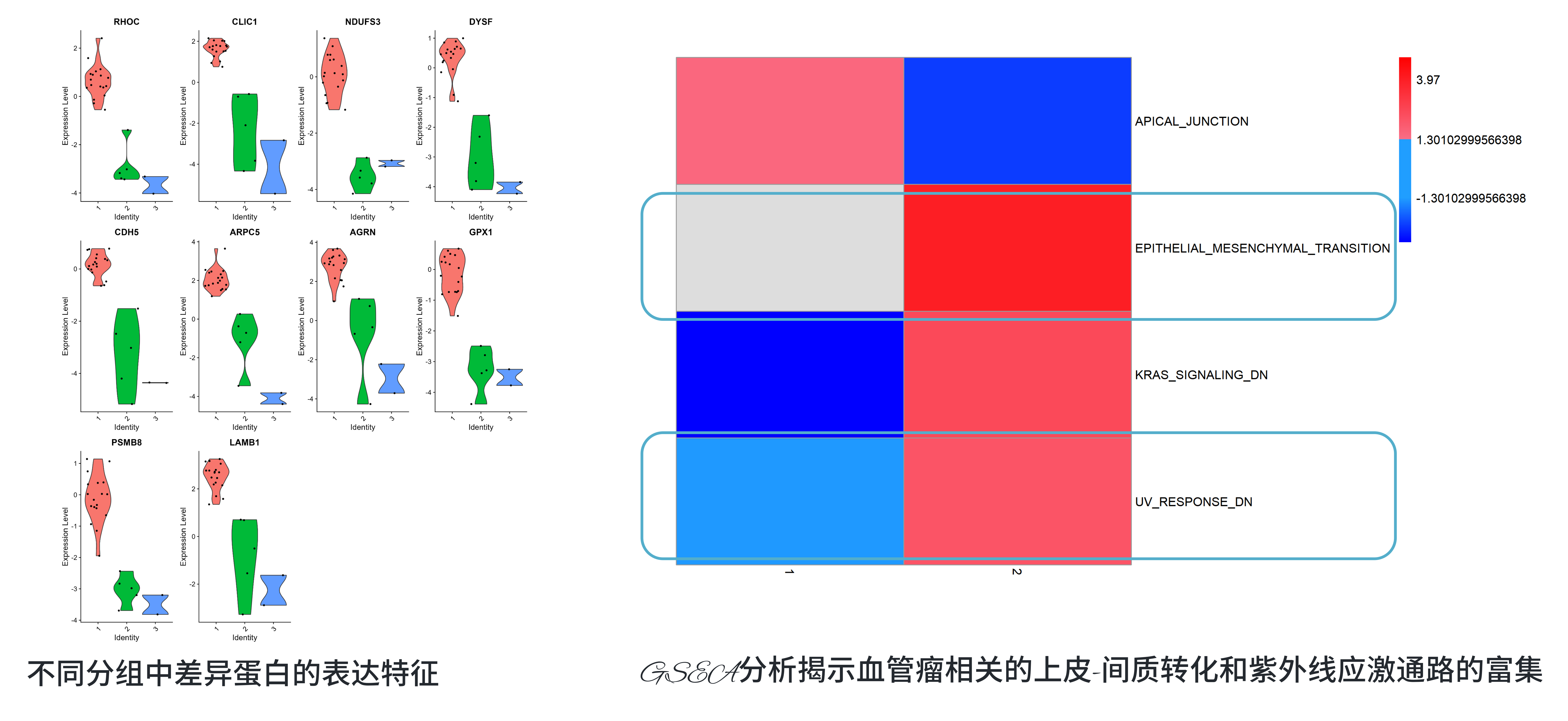 全息空间宣传物料(1)_05.png