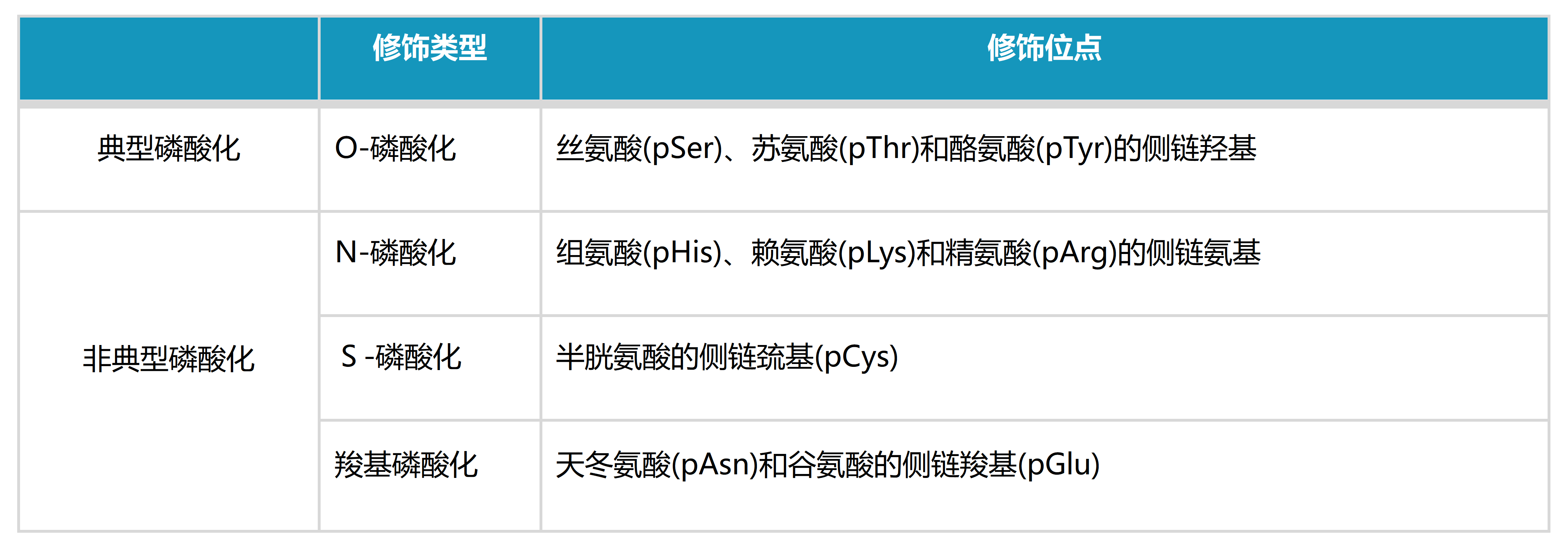 文字文稿5_01(1)(1).png