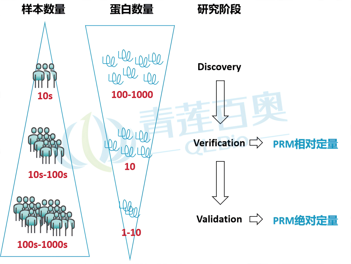 图片4(1).png