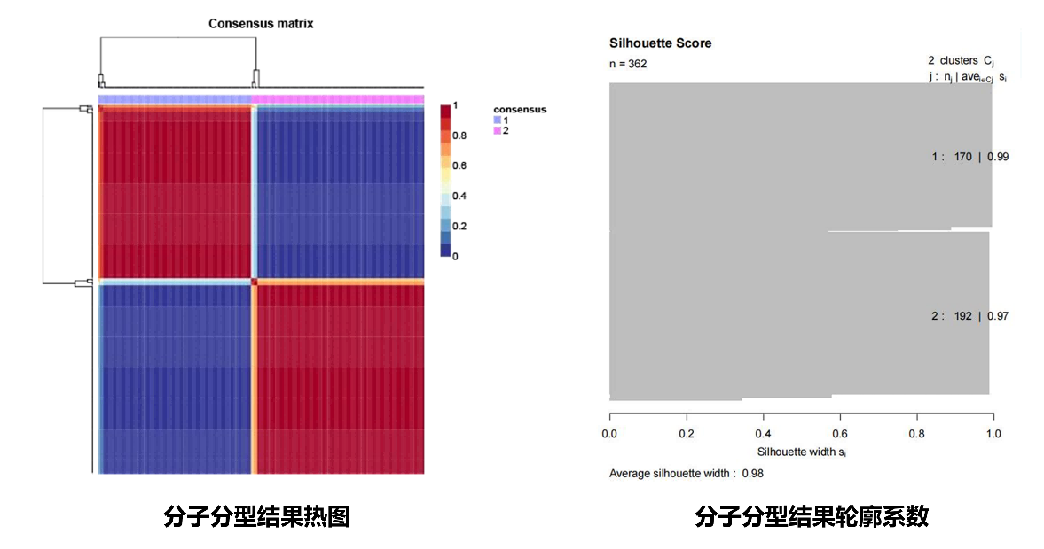 图片15(1).png