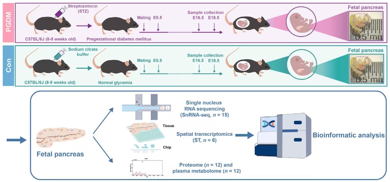 1774258153300688.jpg c3be622dd34129f880c38289514737c1_compress.jpg