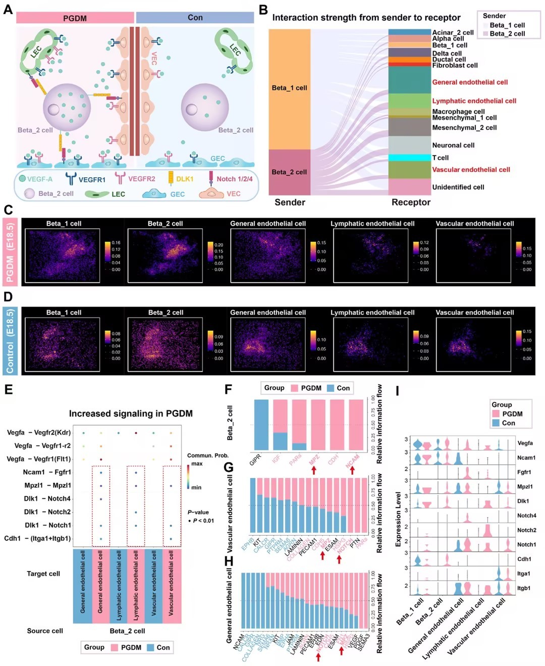 1774258251601791.jpg 692696b04db4d9860b77a464c2999a4e_compress.jpg