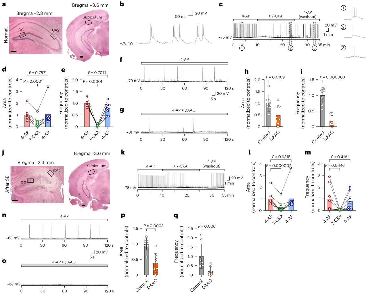 1774596122857078.jpg 1774596122857078.jpg