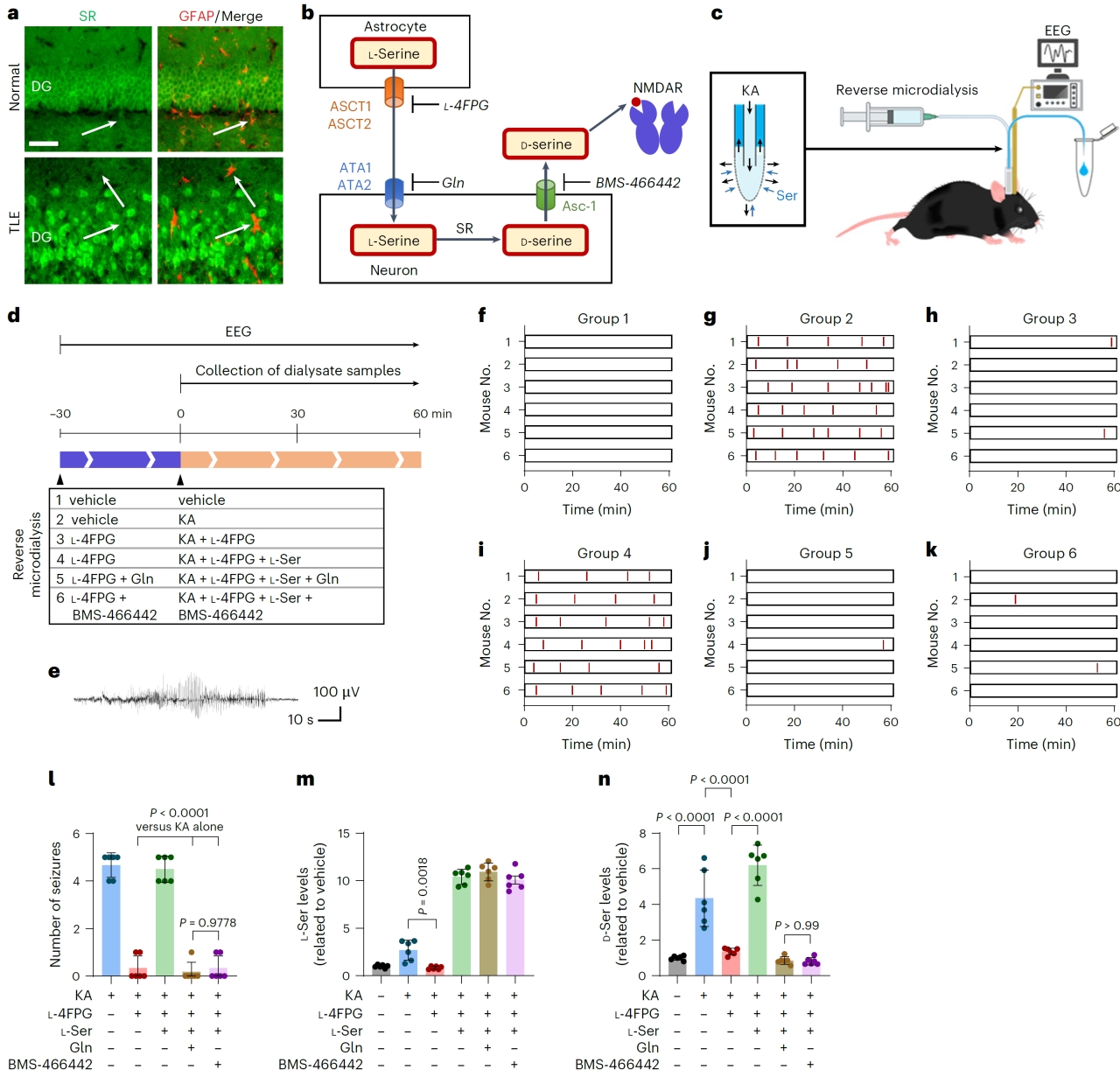 1774596189580784.jpg 1774596189580784.jpg
