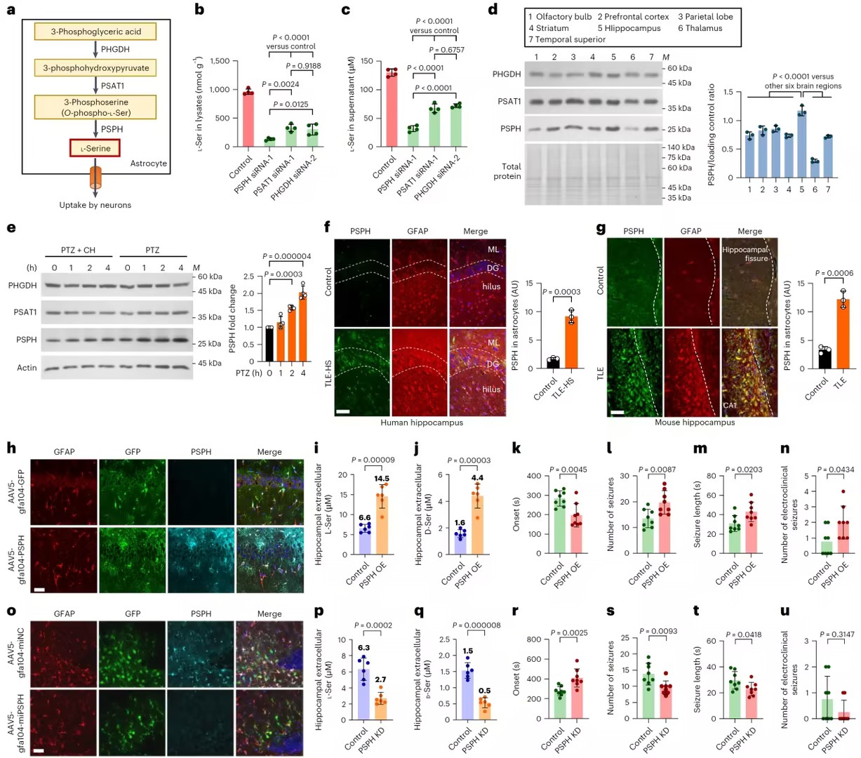 1774596220254963.jpg 1774596220254963.jpg
