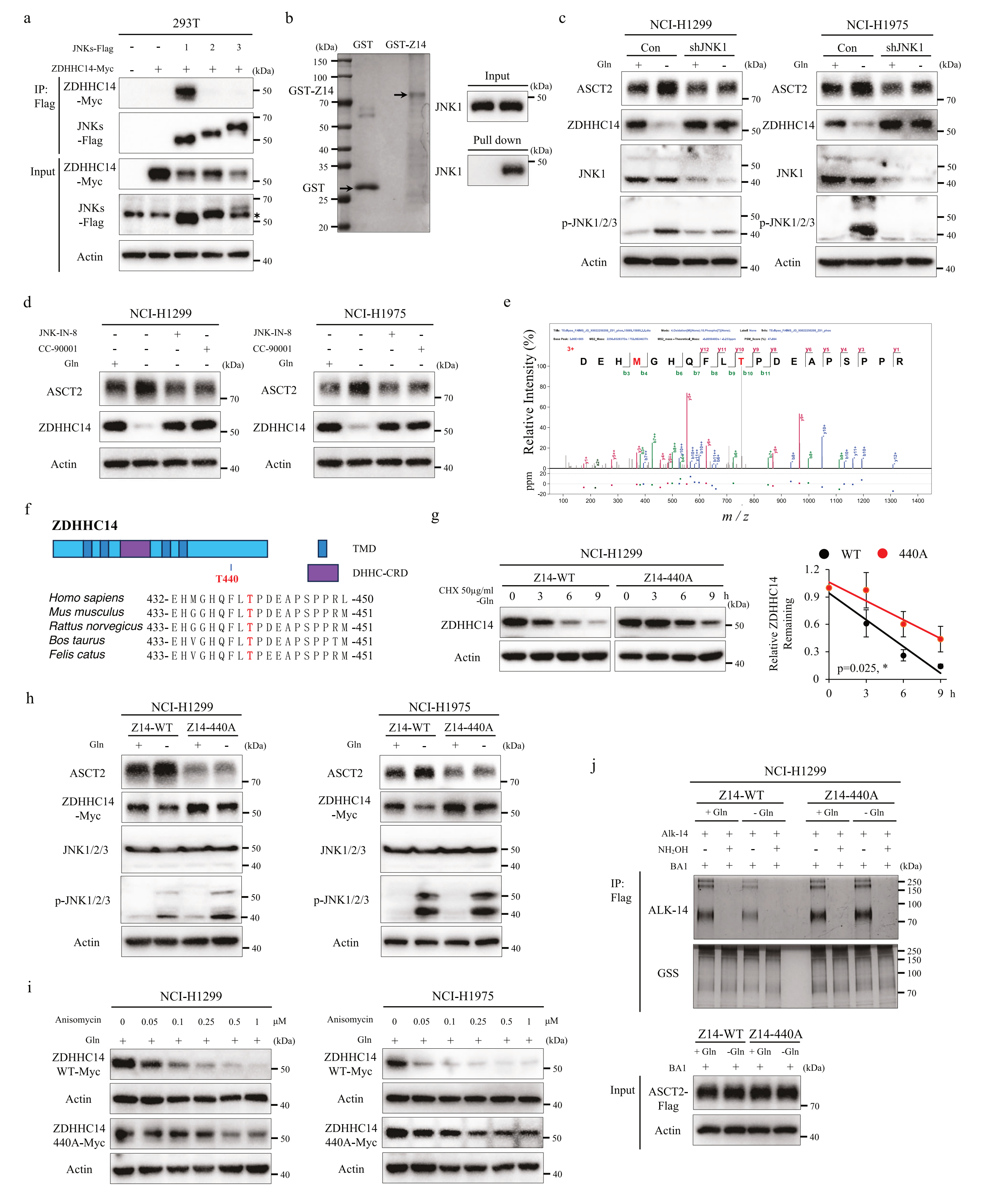 1775119036131082.png 1775119036131082.png