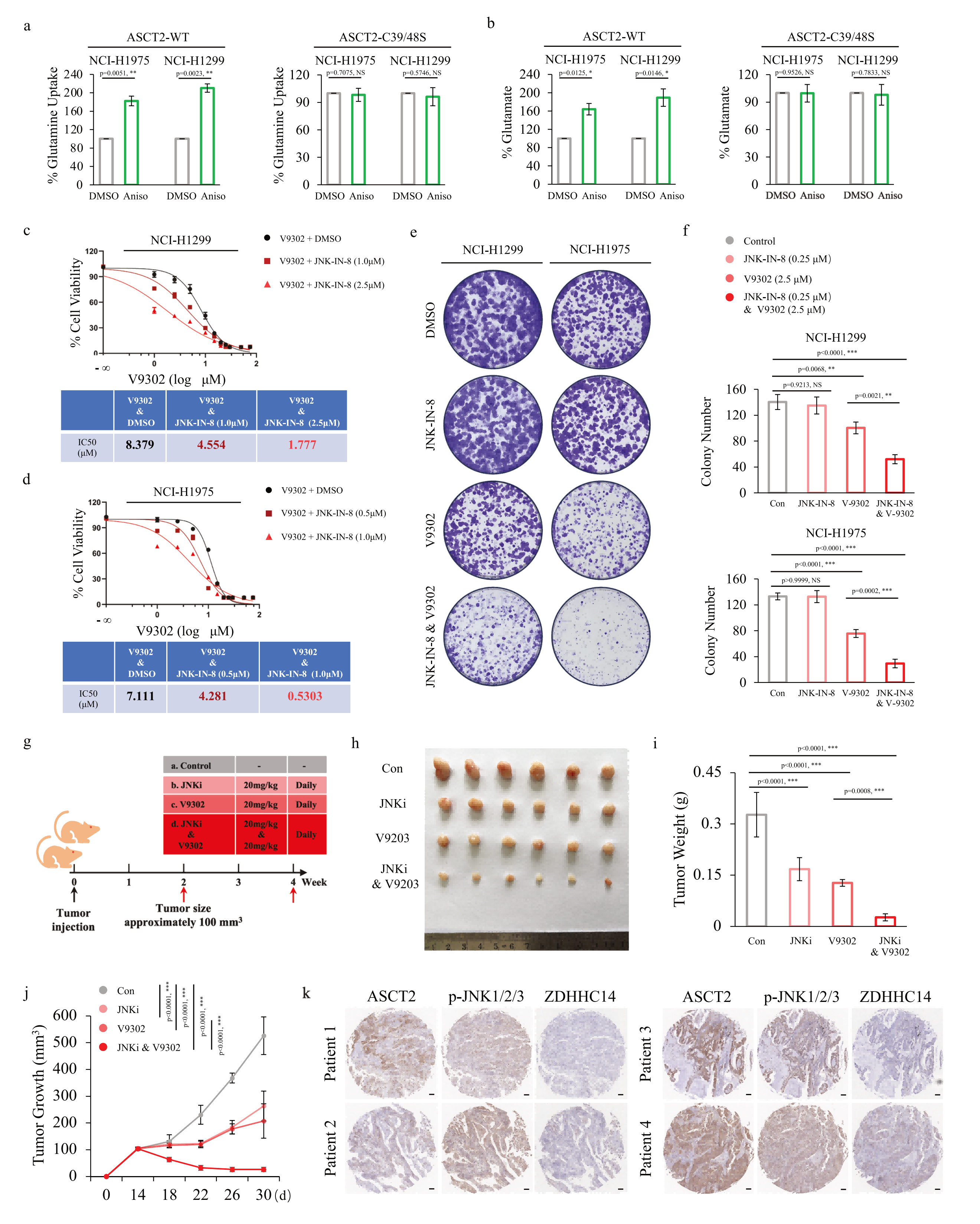 1775119171436862.png 1775119171436862.png