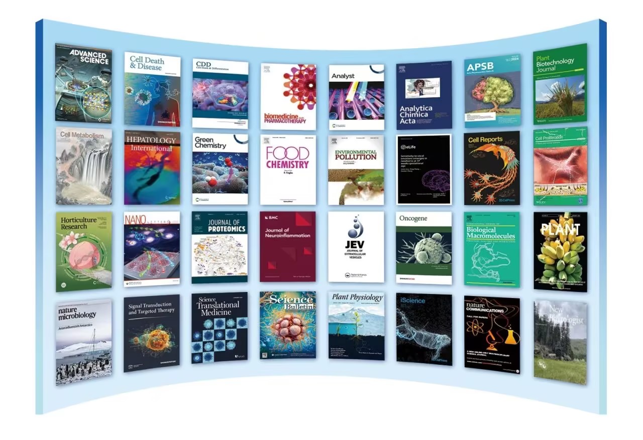 1775119261921692.jpg 1775119261921692.jpg