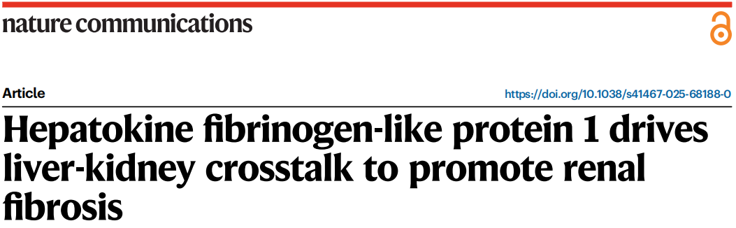 1775196151926805.png 1775196151926805.png