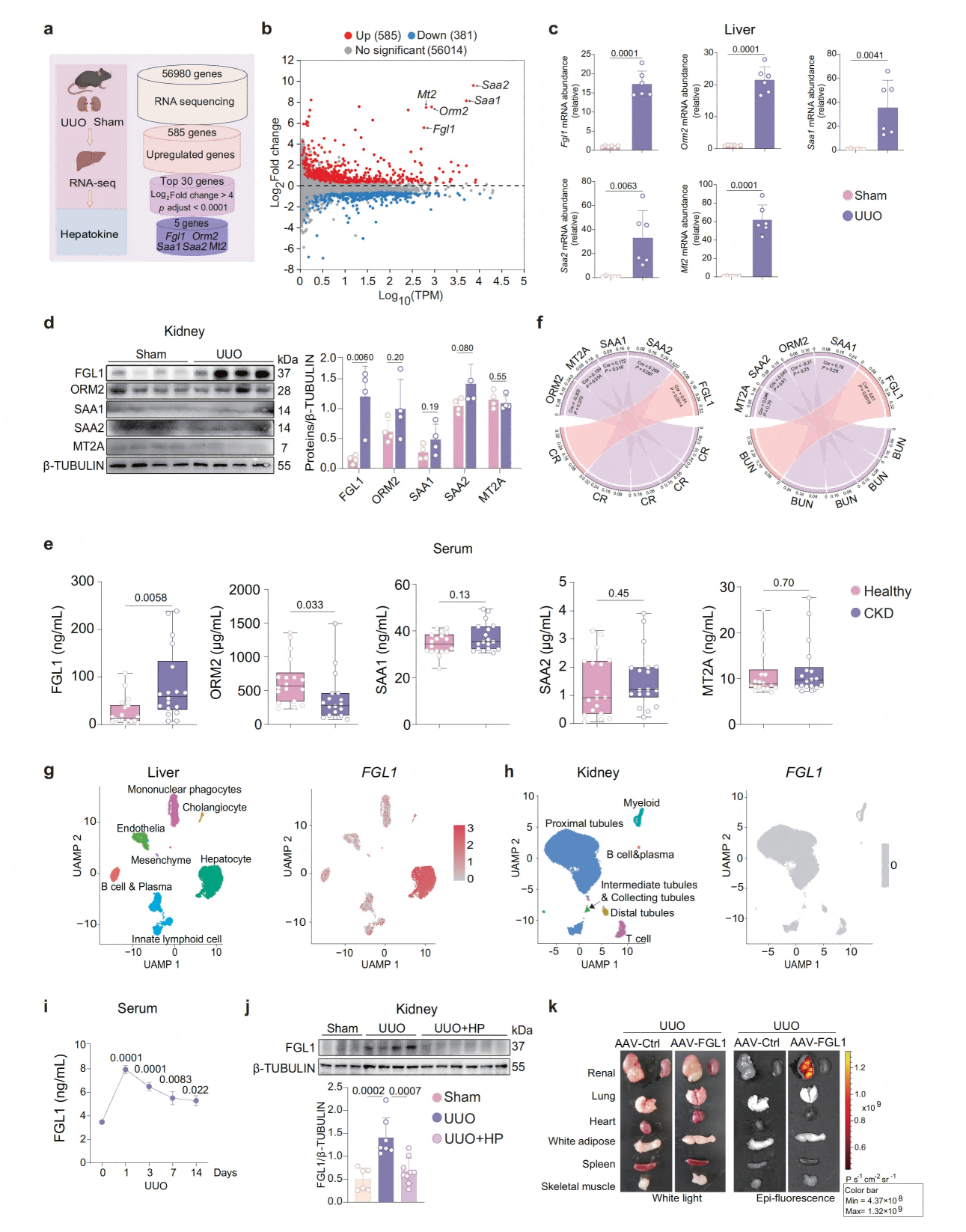 1775196424612381.png 1775196424612381.png