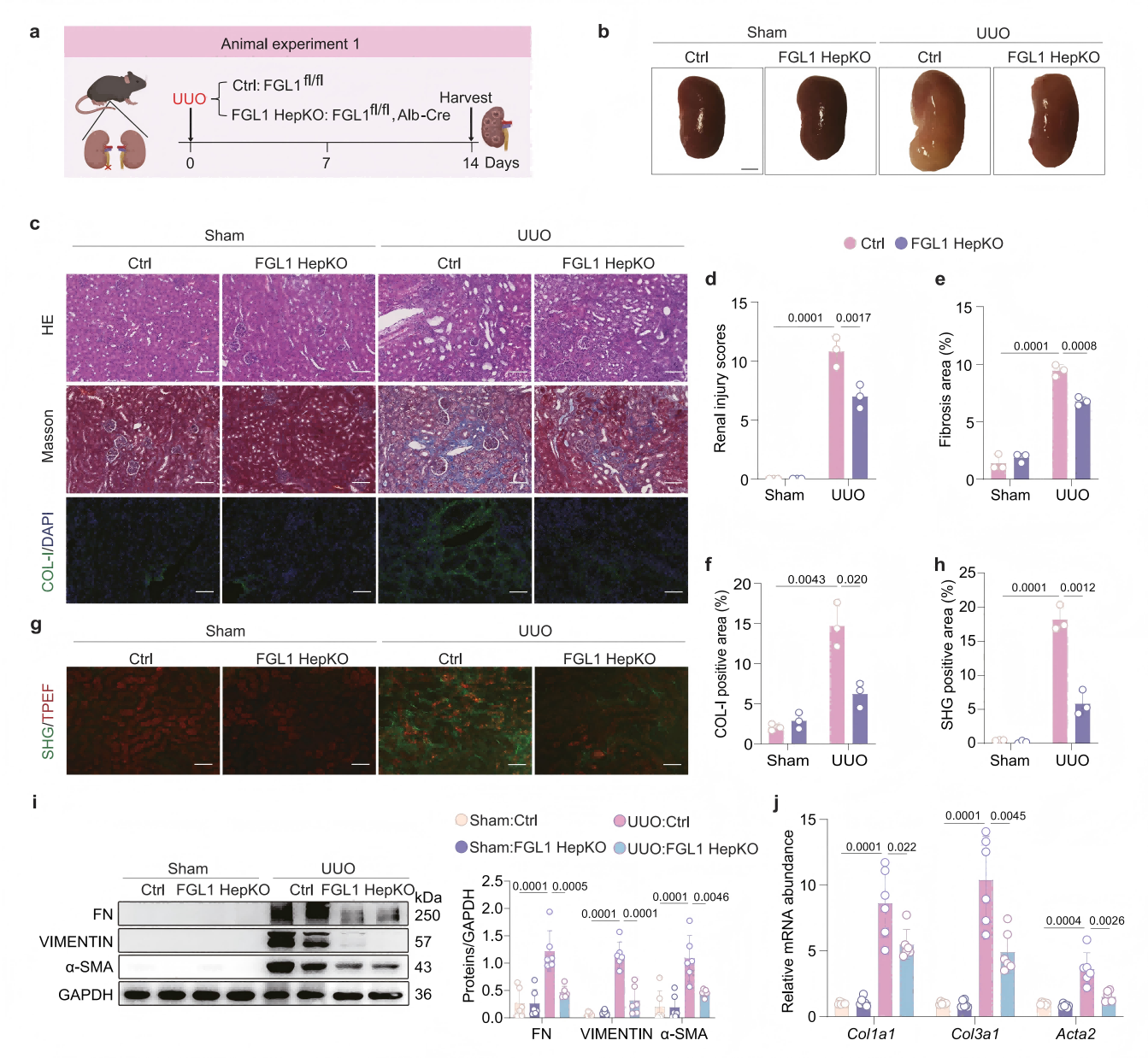 1775196501942018.png 1775196501942018.png