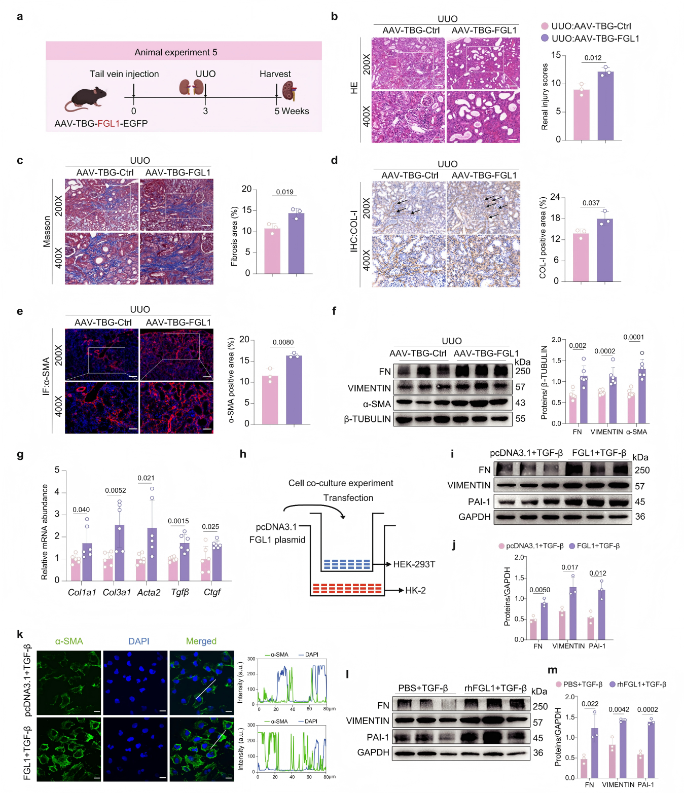 1775196540174788.png 1775196540174788.png