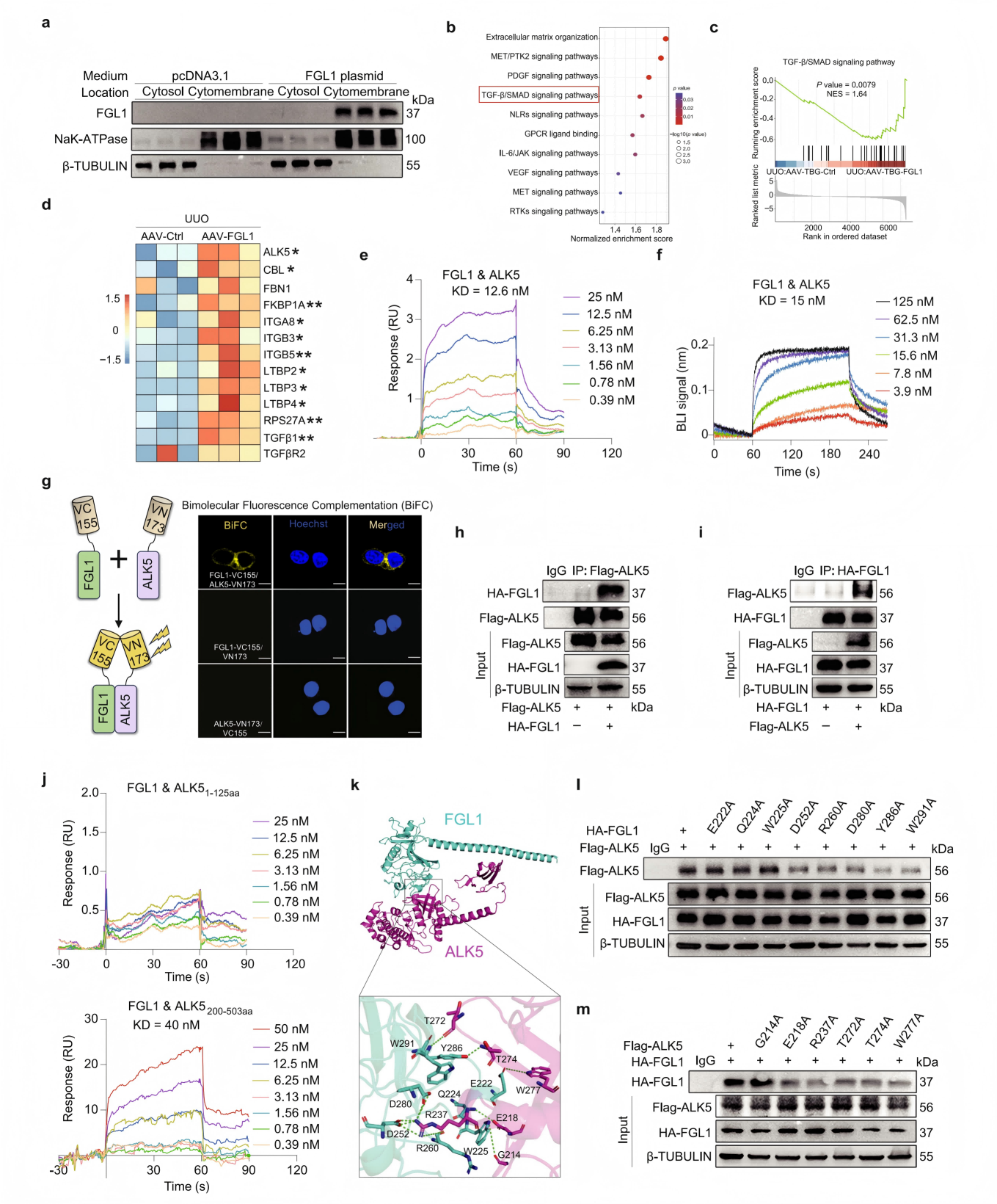 1775196585361145.png 图4.png