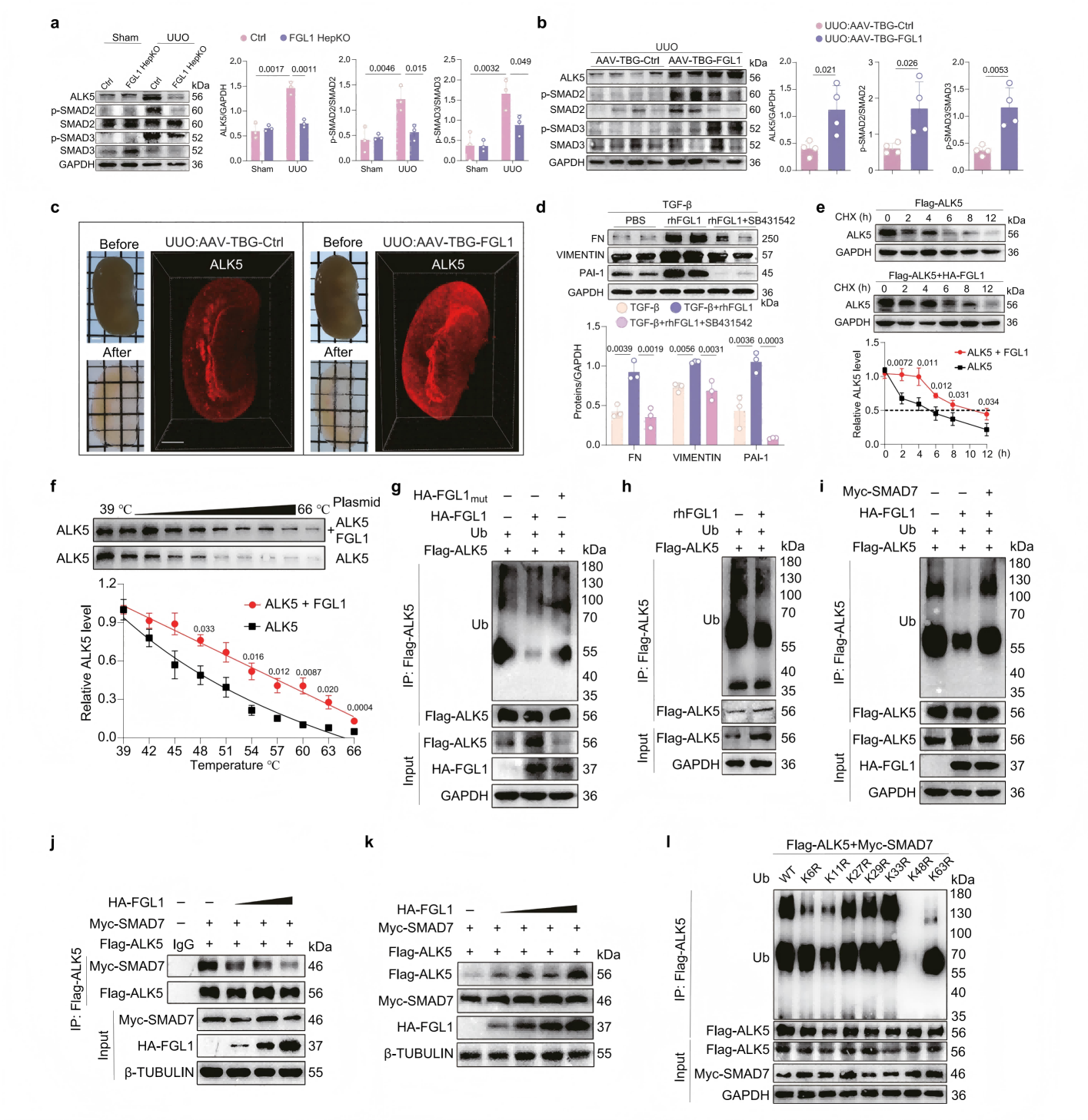 1775196619687553.png 1775196619687553.png
