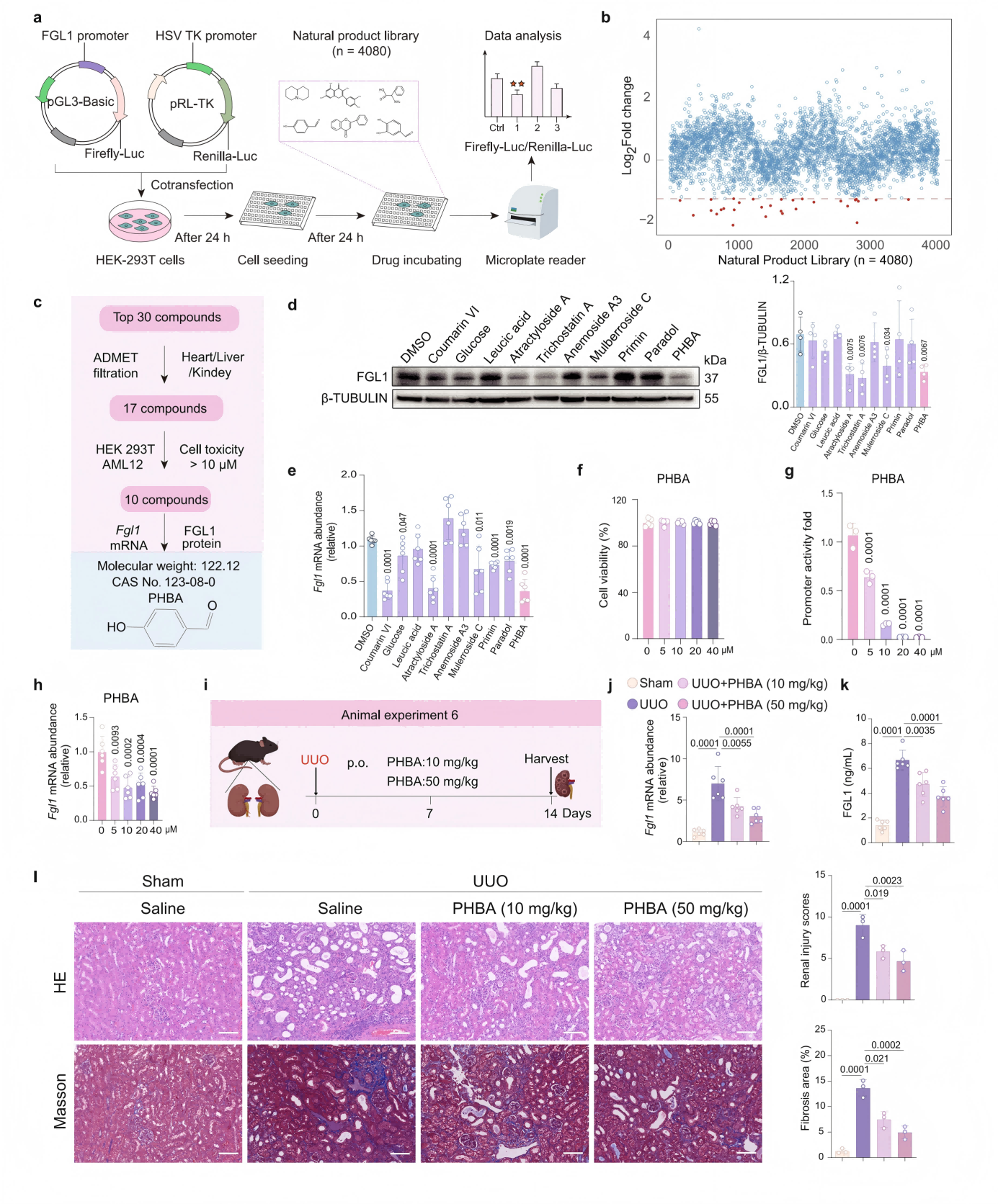 1775196648695185.png 1775196648695185.png