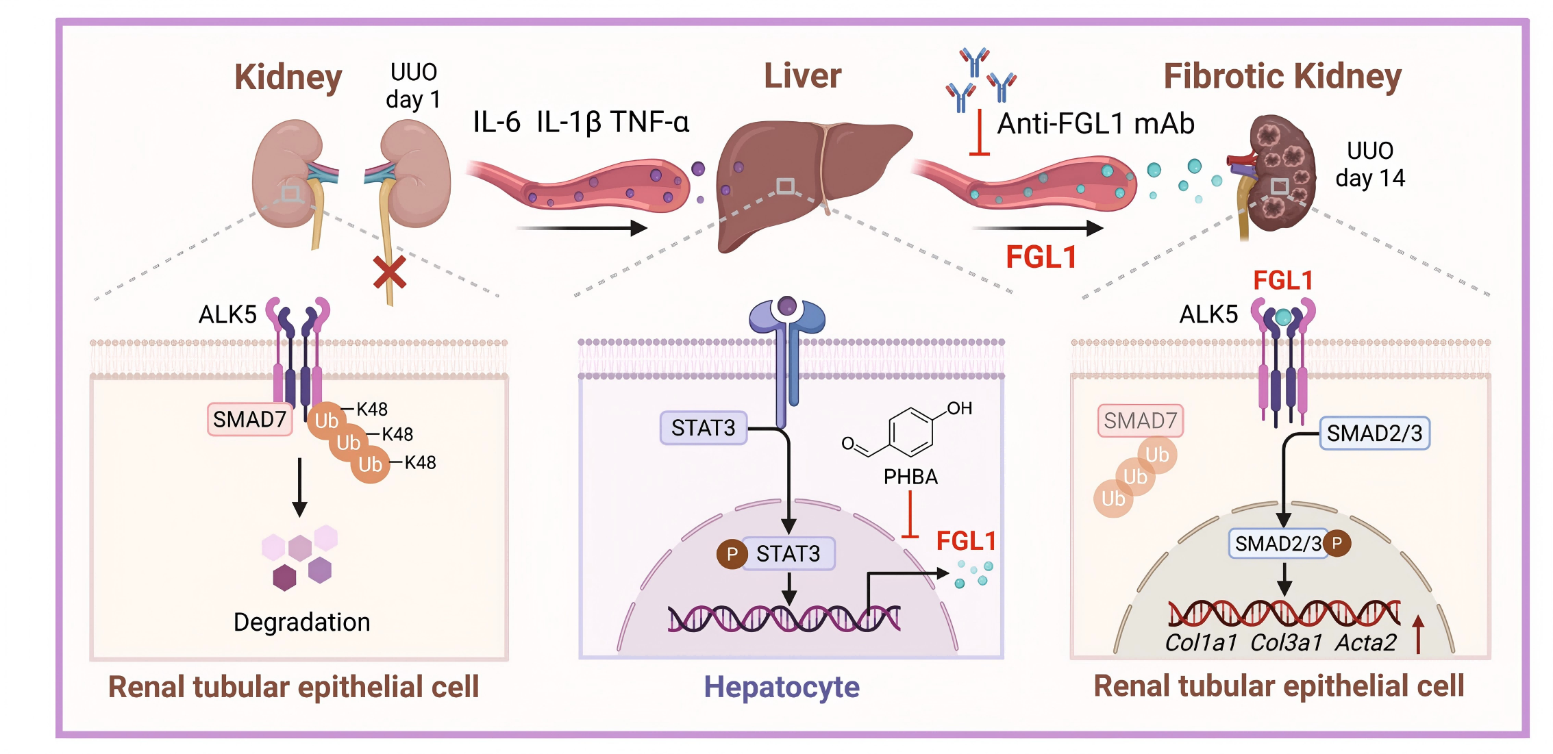 1775196719676389.png 1775196719676389.png