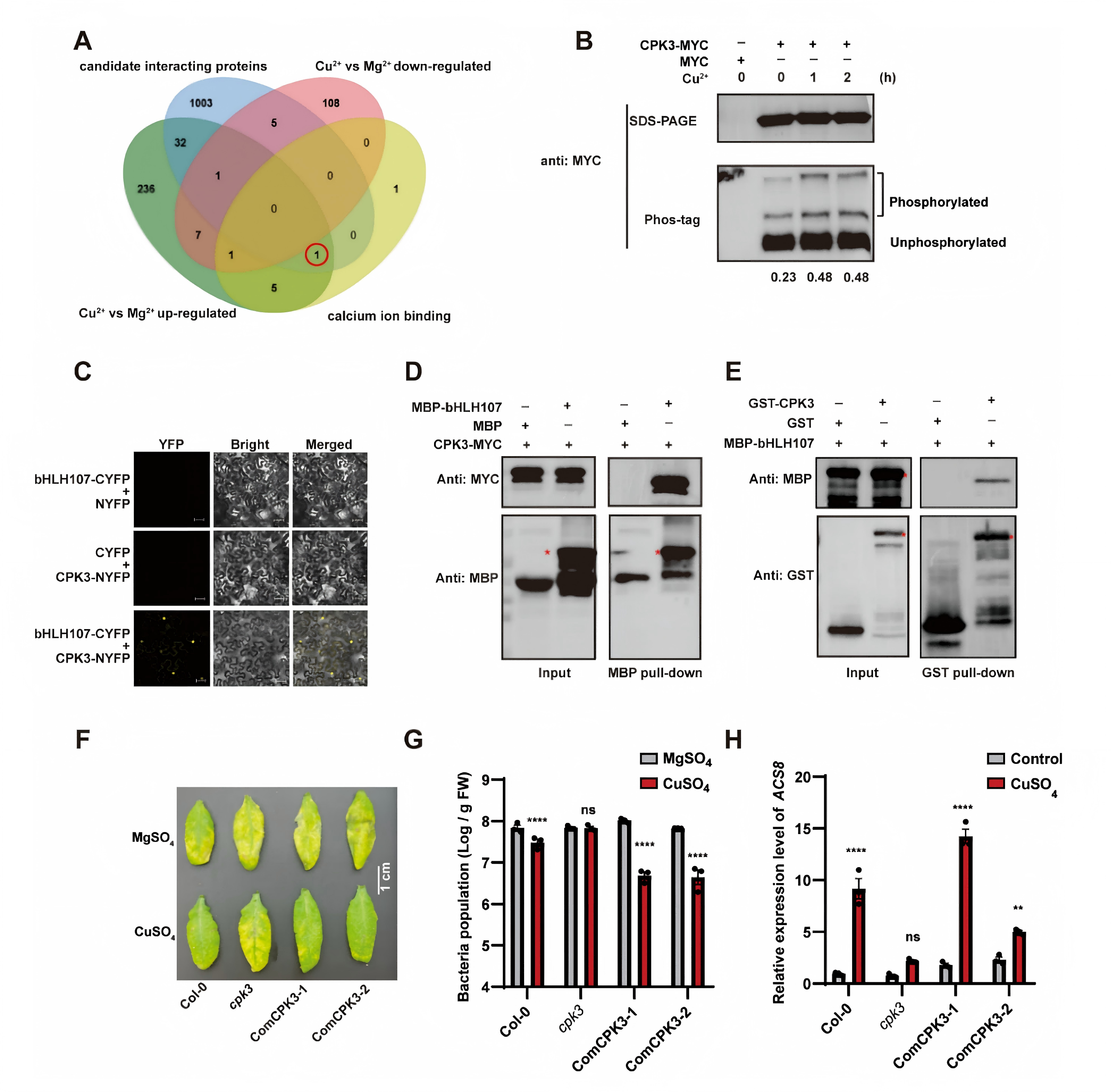 1776145808103554.png 1776145808103554.png