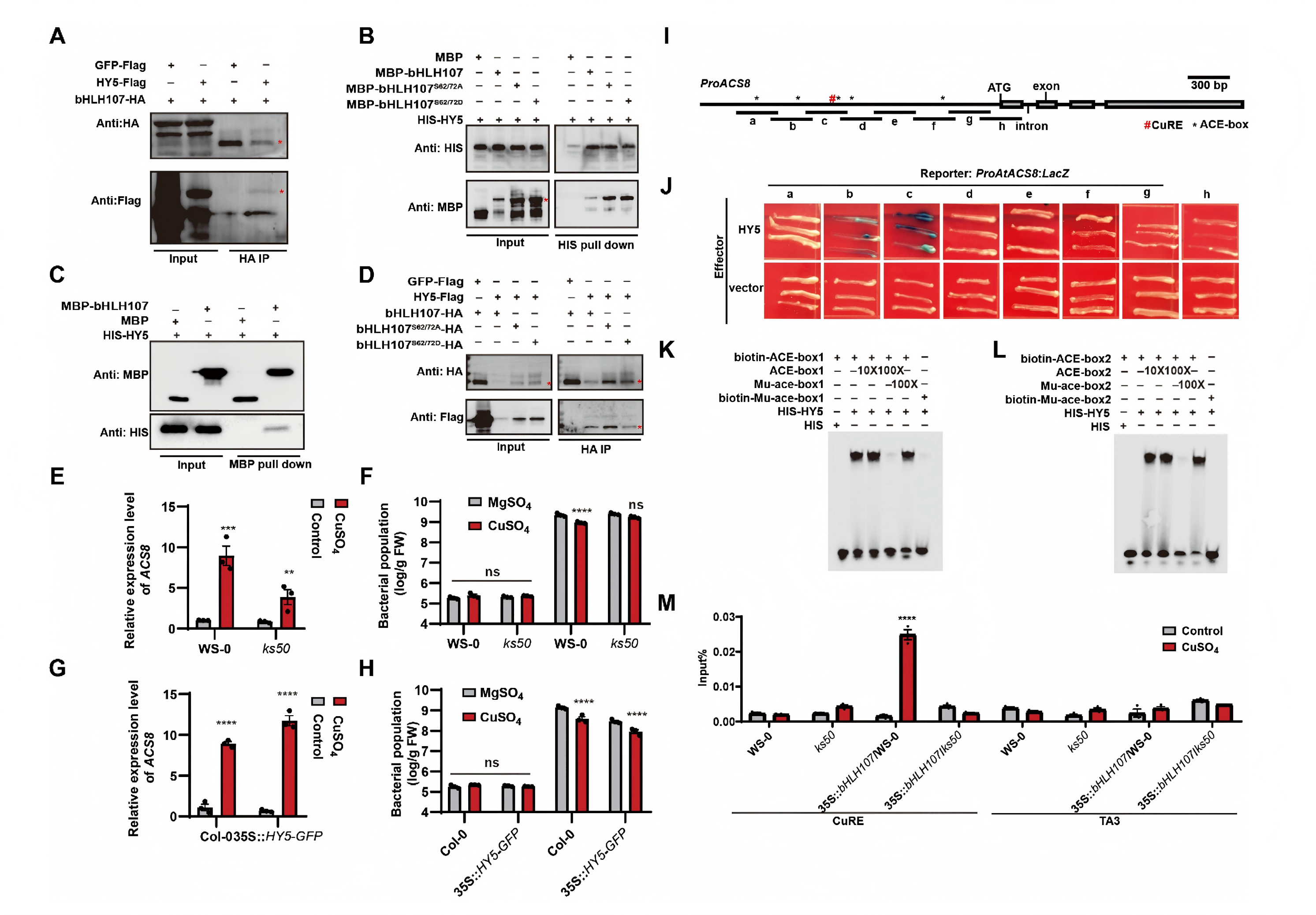 1776145863858525.png 1776145863858525.png