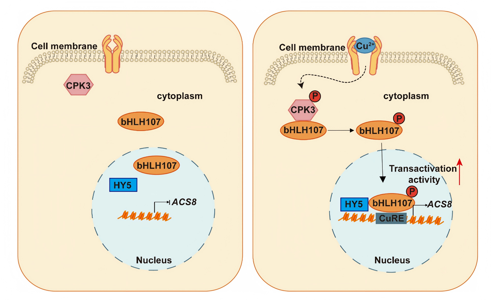 1776145884977455.png 1776145884977455.png