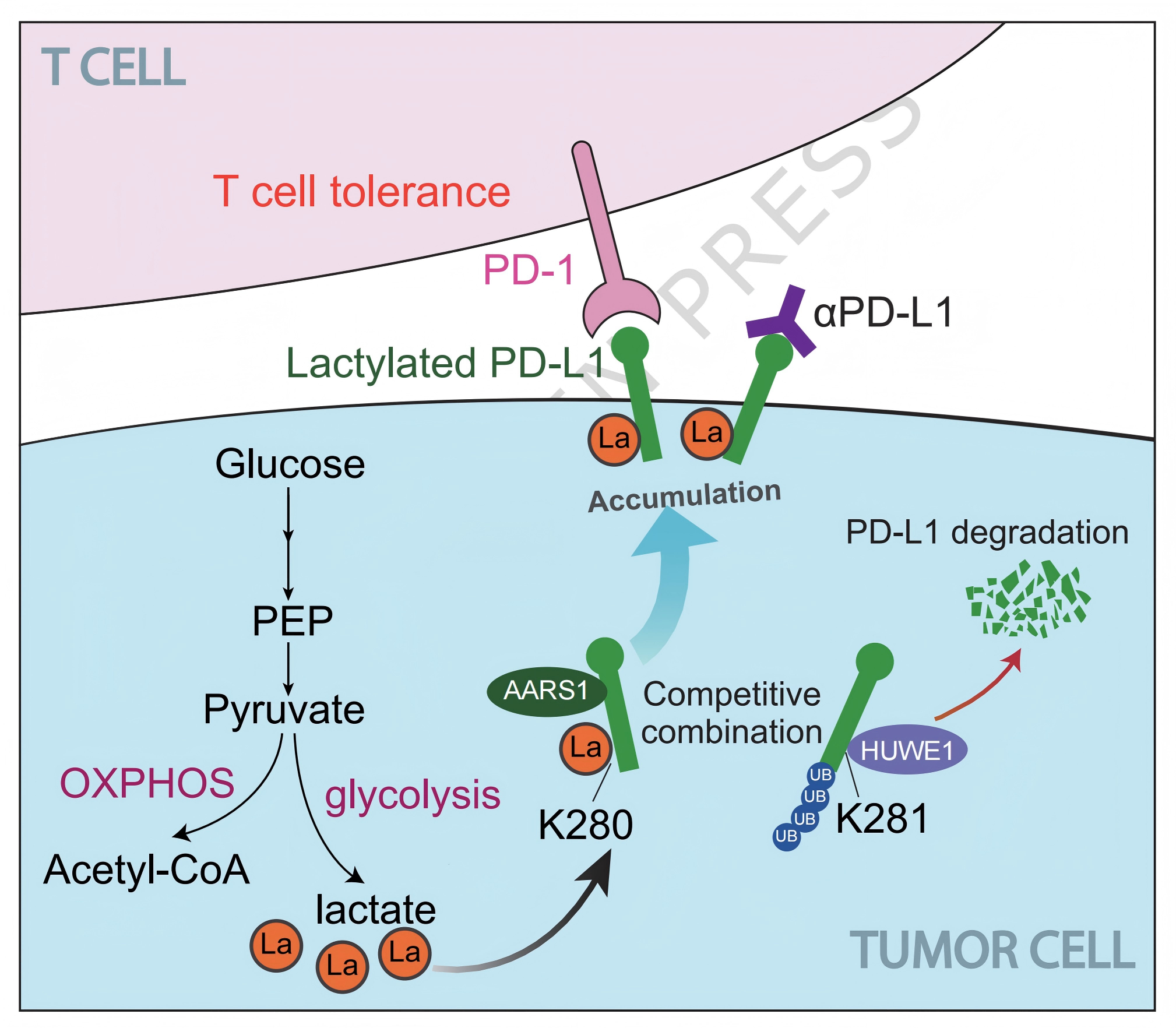 1776320207524687.png 1776320207524687.png