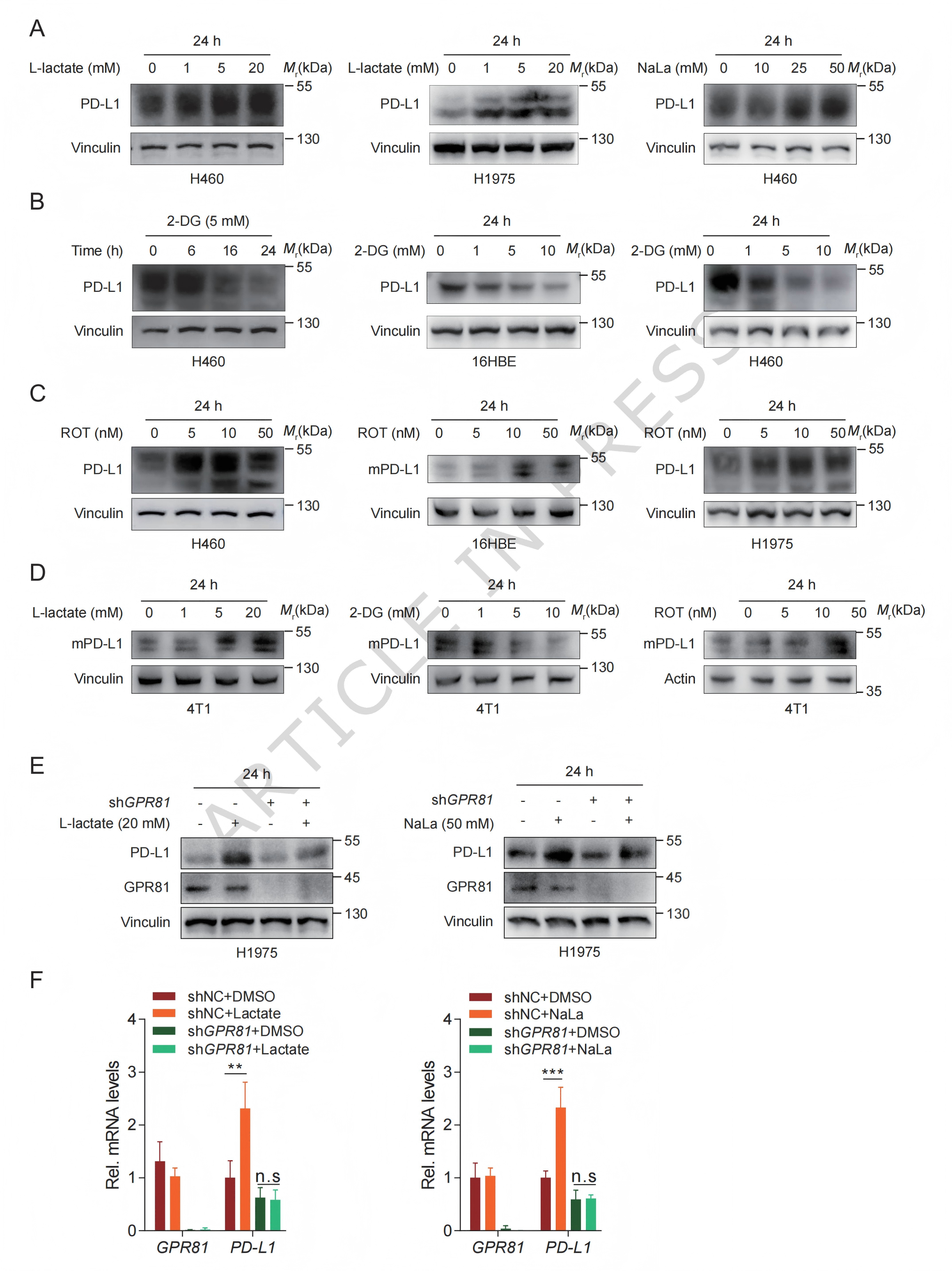 1776320273134765.png 1776320273134765.png