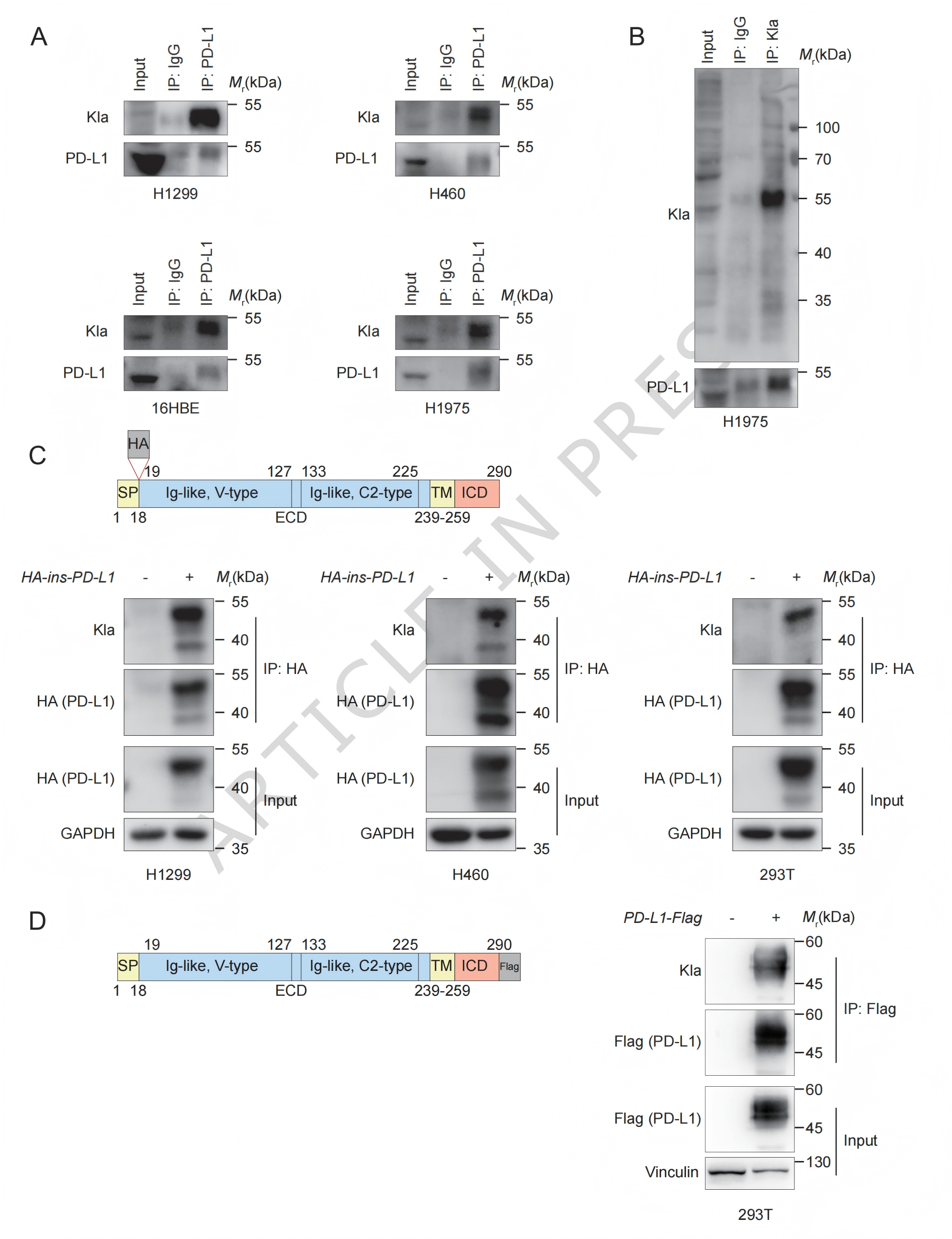 1776320298120304.png 1776320298120304.png