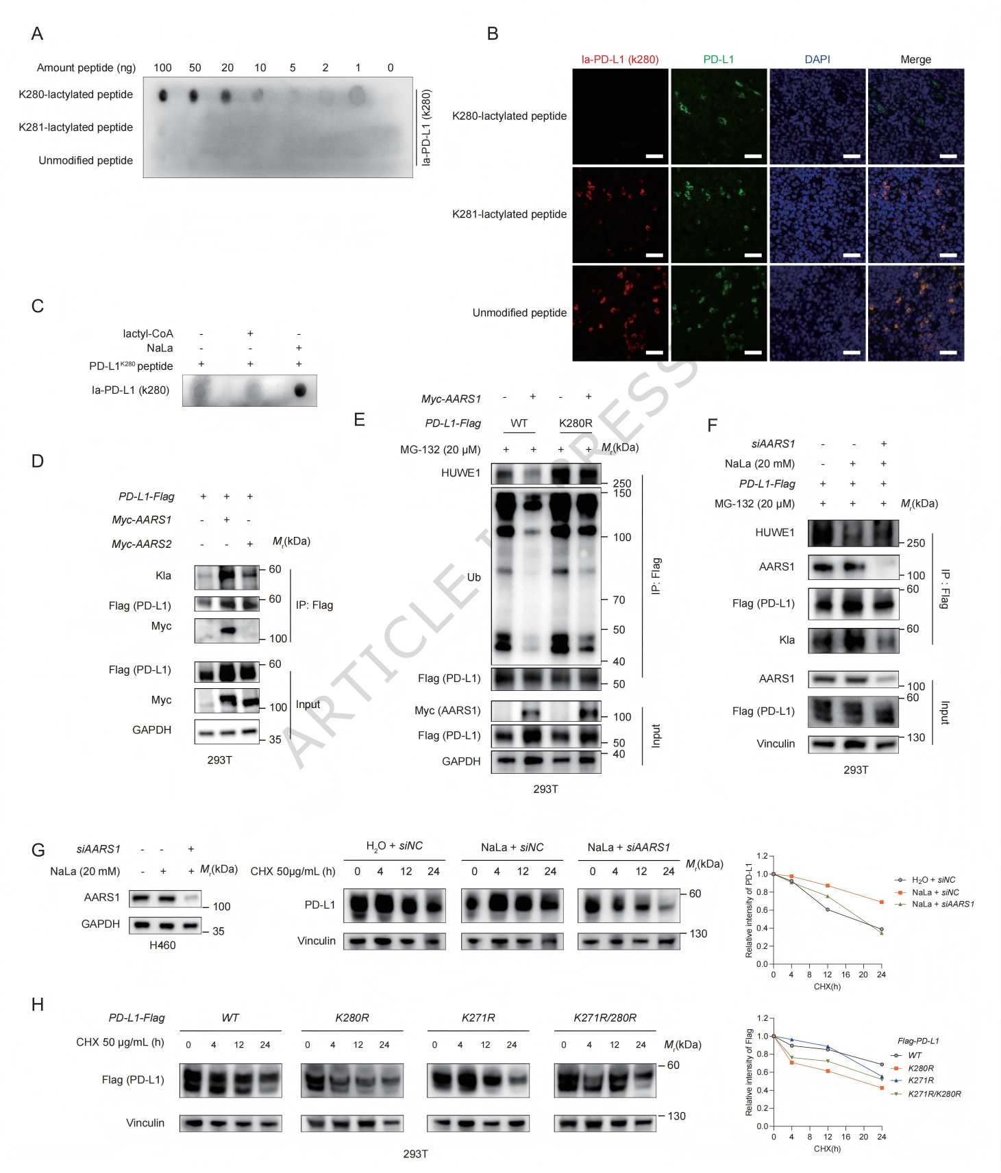 1776320401923382.png 1776320401923382.png