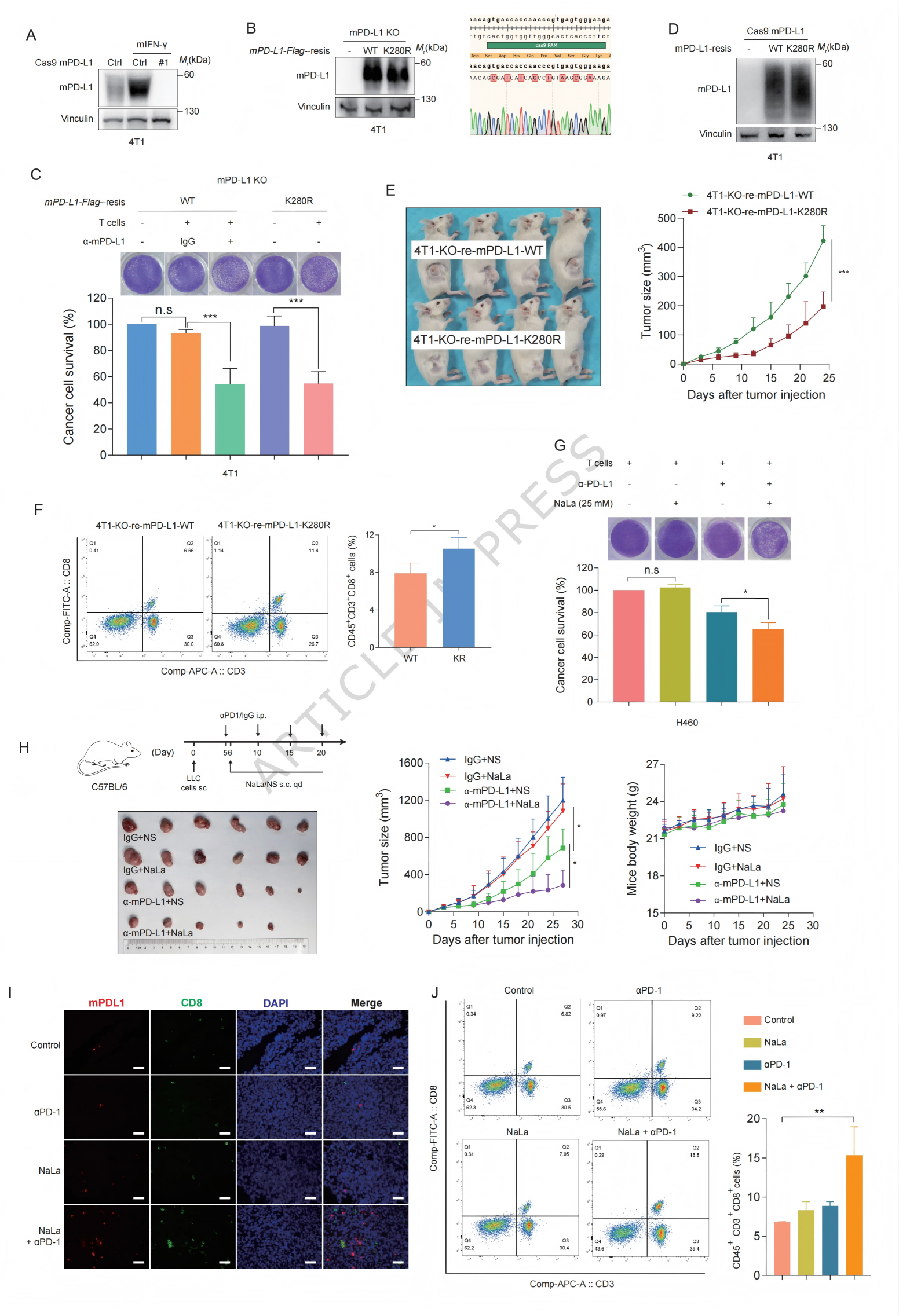 1776320423582236.png 1776320423582236.png