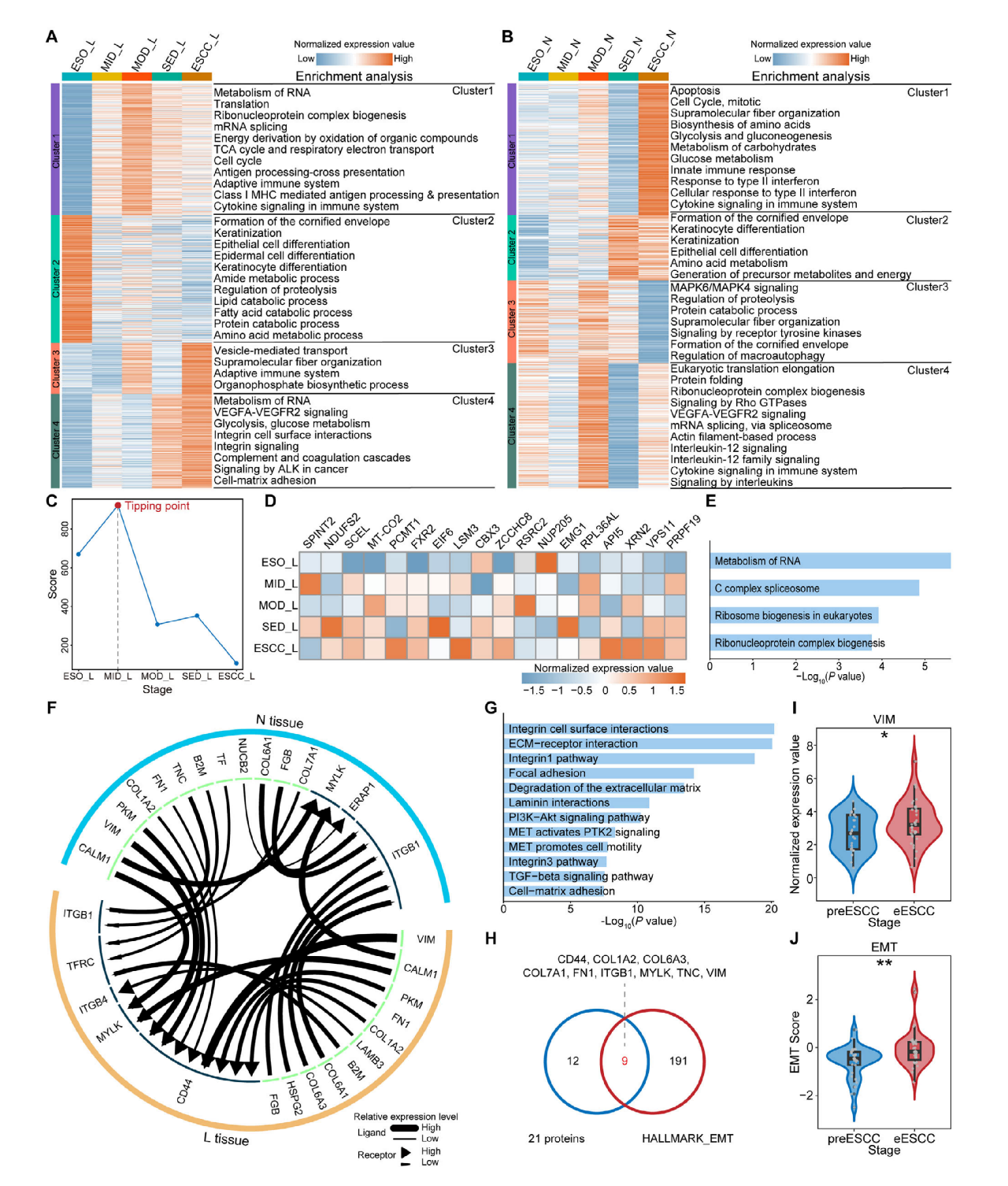 202603-Adv Sci (Weinh)-Spatiotemporal Proteomic Mapping Reveals Early Warning Signals of Esophageal Squamous Cell Carcinoma Progression_06.png