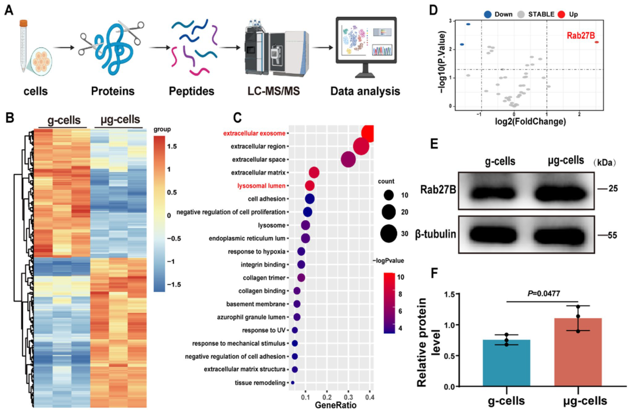 微信图片_2026-05-18_150309_978.png